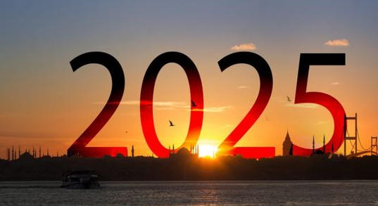 2025年每月工作日天数-2025年计薪日及工作日