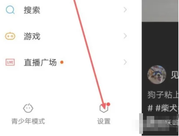 快手极速版,快手极速版最新下载