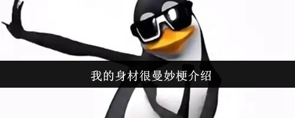 不知道反正我的身材很曼妙-我的身材很曼妙梗介绍